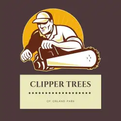clipper-tree-service-of-orland-park-f0t.webp