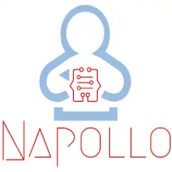 napollo-9yr.webp