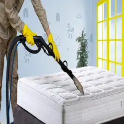 mattress-cleaning-brisbane-gai.webp