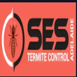 termite-control-adelaide-srg.webp