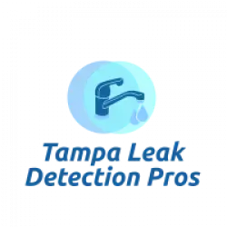 tampa-leak-detection-pros-ioy.webp