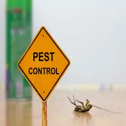 pest-control-coorparoo-tfa.webp