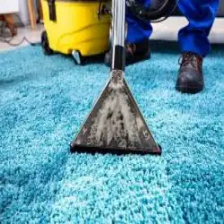 carpet-cleaning-sydney-hwg.webp