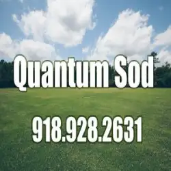 quantum-sod-su2.webp