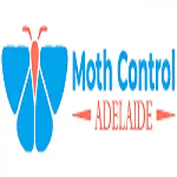 moth-control-adelaide-dvc.webp