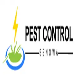 Pest Control Benowa