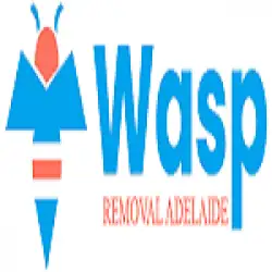 wasp-removal-adelaide-quz.webp