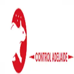 rodent-control-adelaide-kpc.webp