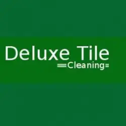 deluxe-tile-and-grout-cleaning-perth-btw.webp