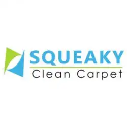 squeaky-carpet-cleaning-hobart-7dh.webp