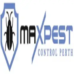 wasp-control-melbourne-x5l.webp