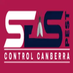 ant-control-canberra-f7g.webp