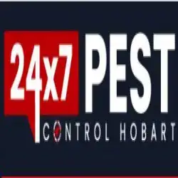 247 Spider Control Hobart