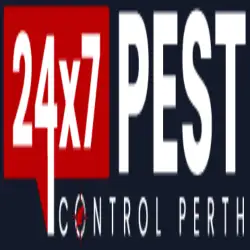 247 Termite Control Perth
