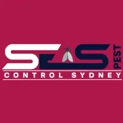 Spider Control Sydney