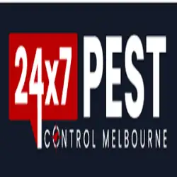 247 Flies Control Melbourne
