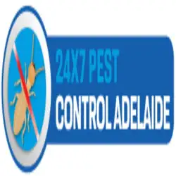 247 White Ant Control Adelaide