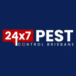 Flea Control Brisbane