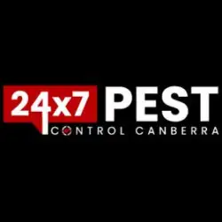 247 Canberra Termite Treatment