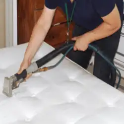 SES Mattress Cleaning Canberra