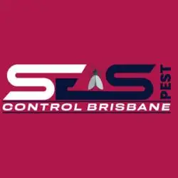 SES Spider Control Brisbane