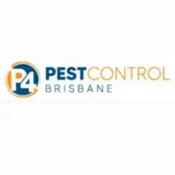 Best Bird Control Brisbane