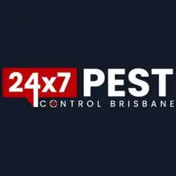 247 Spider Extermination Brisbane