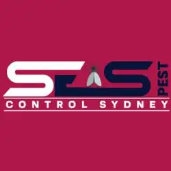 SES Bee Pest Control Sydney
