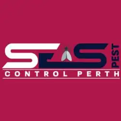 SES Bee Control Perth