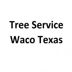Tree Service Waco Texas