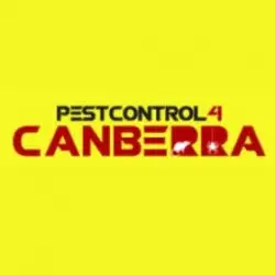 Spider Pest Control Canberra