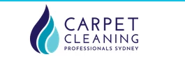 Carpet Cleaning Professionals Sydney