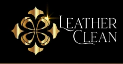 Leather Clean | Leather Seats Cleaning
