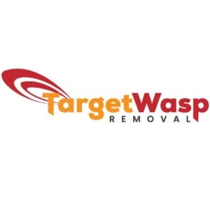 target-wasp-removal-adelaide.webp