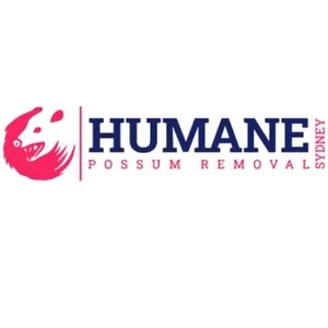 humane-possum-removal-central-coast.webp