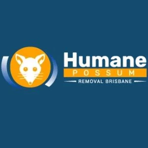 Humane Possum Removal Inala