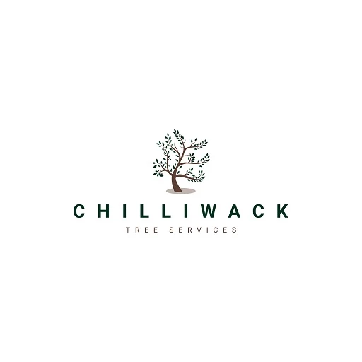 Chilliack Tree Services