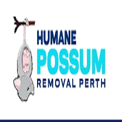 humane-possum-removal-perth.webp