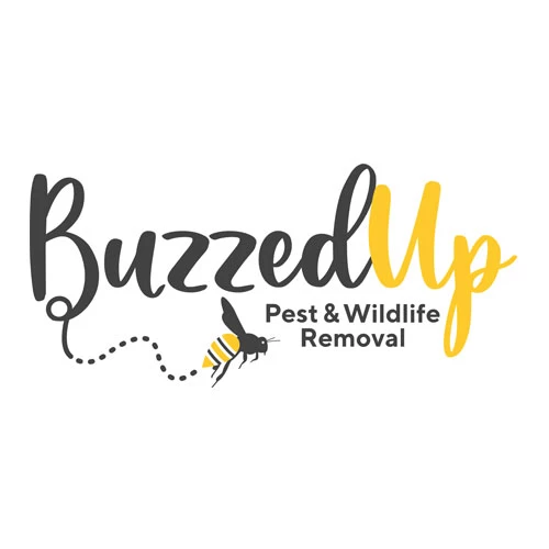 Buzzed Up Pest & Wildlife Removal